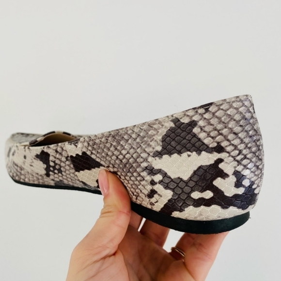 Steve Madden Girl Tan/ Gray Snake Pointed Flats - Picture 4 of 5
